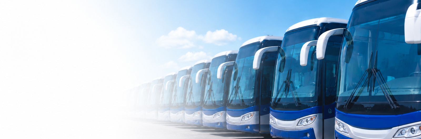 Ônibus ao fundo